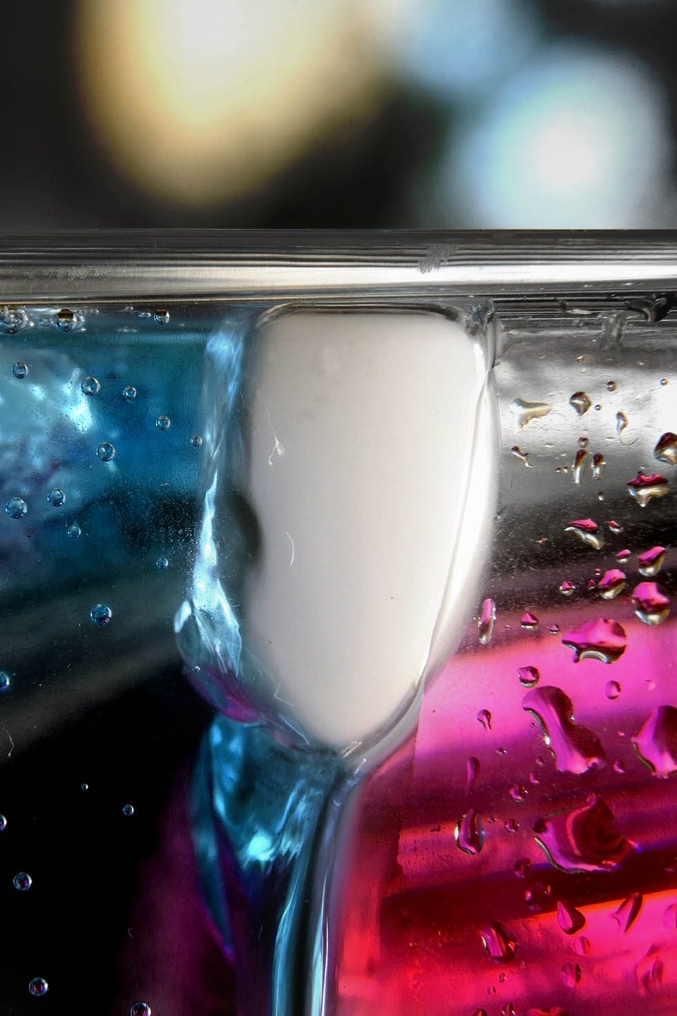 World In Contradiction