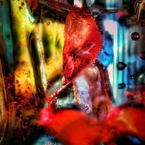 Vibrant Fusion of Worlds