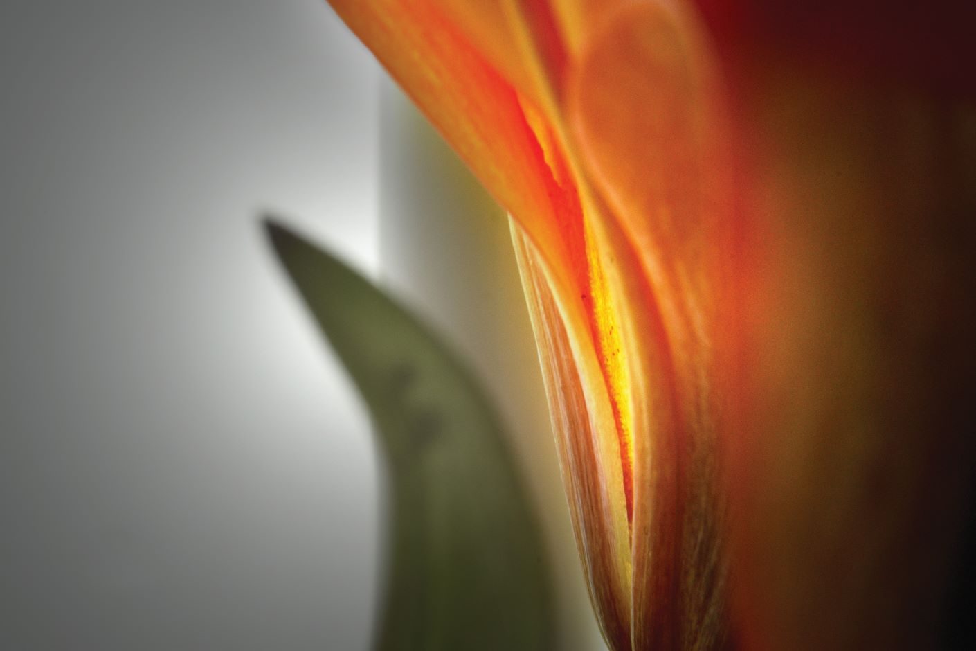 Whispers of Golden Fire